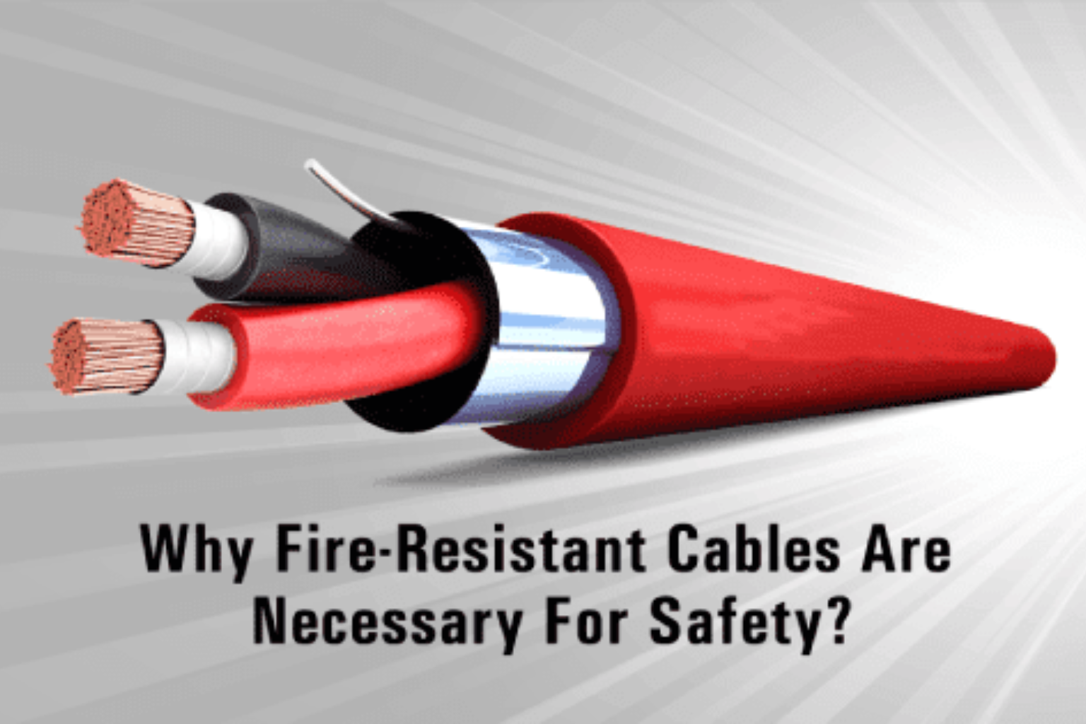 FS Cable